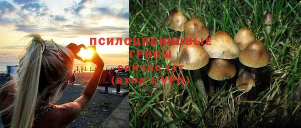 прущая мука Армянск