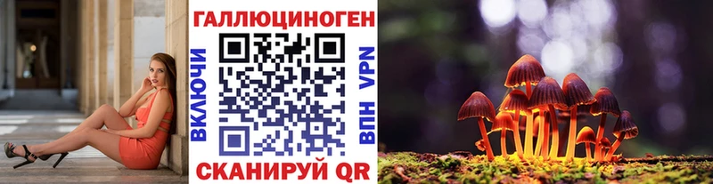 KRAKEN как войти  Тогучин  Псилоцибиновые грибы прущие грибы 
