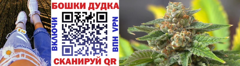 нарко площадка Telegram  Тогучин  Бошки марихуана планчик  кракен вход 